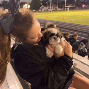 Meet your Posher, Peyton